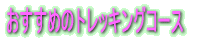߂̉Ԃ߂R[X@ 