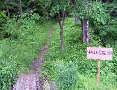 中山道　笠取峠　原道